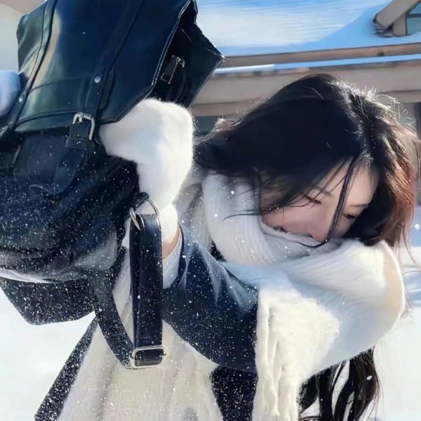 怪盗与剑